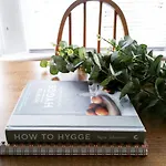 Seagrass Studio